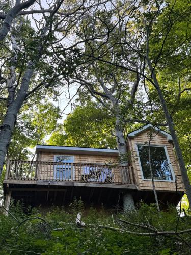Balkón nebo terasa v ubytování Ananda - Enchanted Forest Hideaway