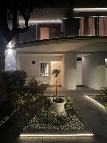 a house with a tree in a courtyard at night at Villa Mirella - Luxury in the center of Tuscany in Empoli