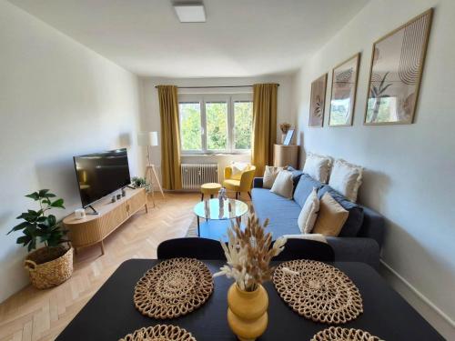 Central Apartmán - Self Check in - Airport OSR Mosnov