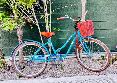 a blue bike with a basket parked next to a building at Jungle Guardian - Rooftop Pool & Beach Club in Zona Hotelera Tulum in Tulum