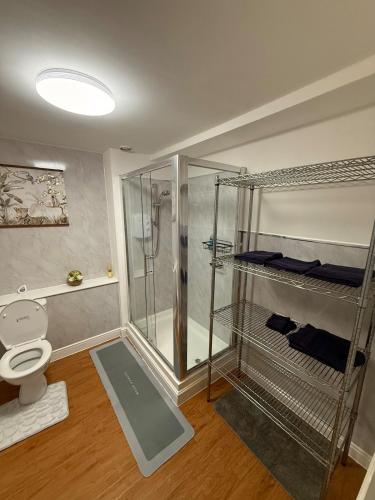 a bathroom with a shower and a toilet in a room at The Heart of Birmingham City Centre in Birmingham