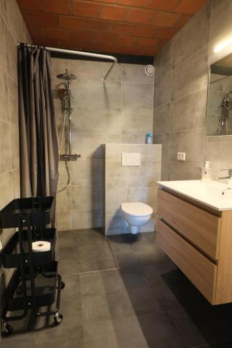 a bathroom with a toilet and a sink and a shower at Boerderij de Windroos in Tollebeek