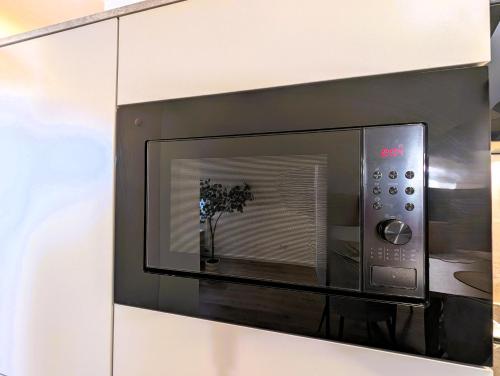 een magnetron met een plant erin bij BohnApartments Schiller 7- Penthouse- WLAN- Parking- citynah in Erfurt