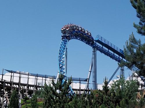 a roller coaster in a theme park at Plaisirs d'Alsace - Munster - Colmar - Route du vin in Munster