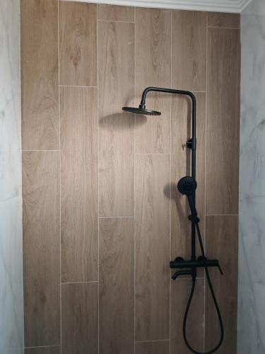 a shower with a shower head in a bathroom at Olympic Flame Suites in Pýrgos