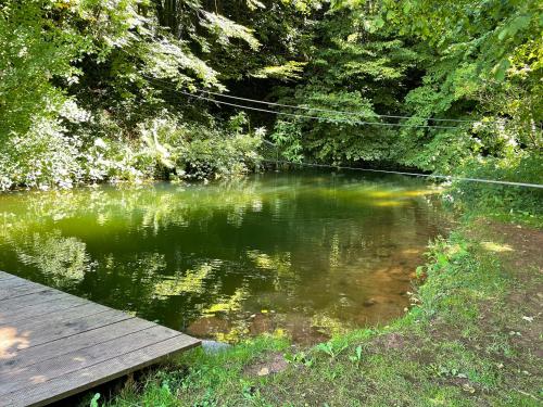 a body of water with a wooden dock and some trees at Ferienwohnungen Schwabenhof in Schramberg