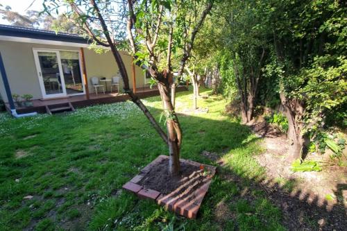 a small tree in a yard next to a house at Between the Yarra Valley, City, wineries. Pets in Mooroolbark