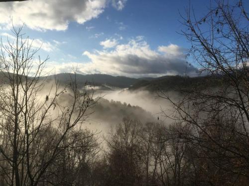 a view of a fog covered valley with trees at Mountain Top Lodge with Views - Hot Tub, River Access, 15 Mins to West Jefferson in Crumpler