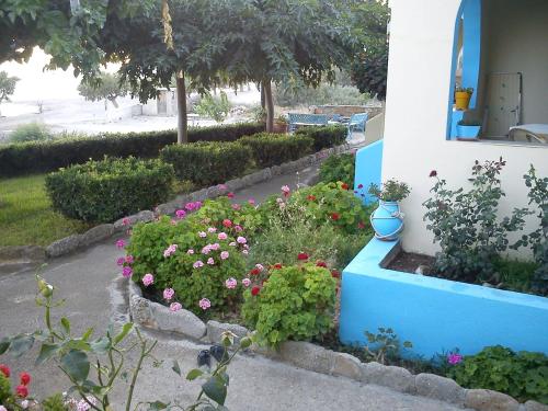 Κήπος έξω από το Apolloneia Apartments