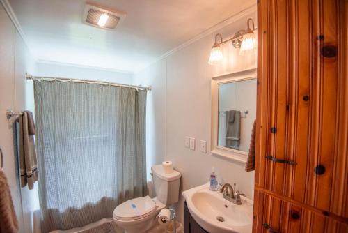 a bathroom with a toilet and a sink and a shower at New River Farmhouse on the New River & Stocked Fishing Creek in Crumpler