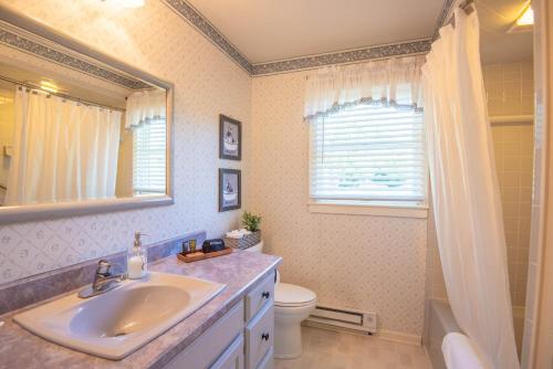 a bathroom with a sink and a toilet and a mirror at 1 Bedroom Cabin Overlooking New River-- Sleeps 4, Dogs OK, Fire Pit & More in Glendale Springs