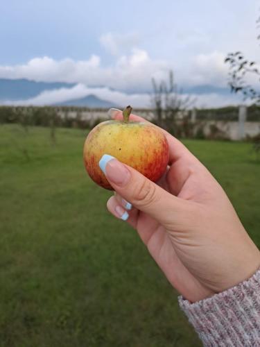 Φυσικό τοπίο κοντά σε αυτή η βίλα