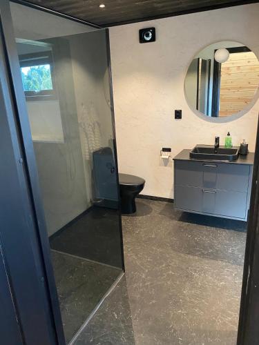 a bathroom with a toilet and a sink and a mirror at Villa Hulu in Broaryd