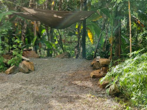 a hammock hanging over a path in a forest at Doichang Riverhouse in Ban Huai Khai