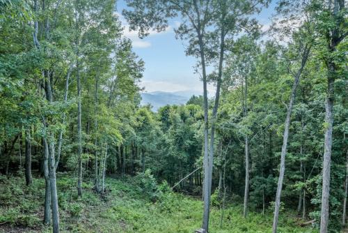 a forest of trees with mountains in the background at Mountain Views - Firepit - Gas Fireplace - Sleeps 15 in Grassy Creek