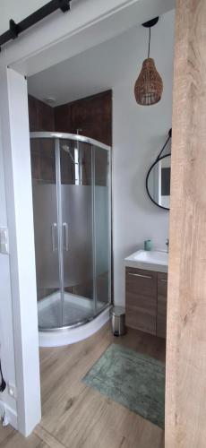 a glass shower in a bathroom with a sink at Appartement cosy en plein centre ville in Saint-Pierre-du-Regard