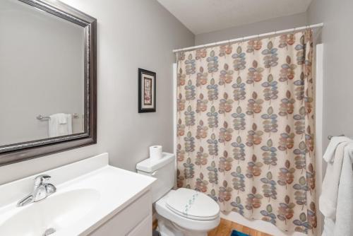 a bathroom with a toilet and a shower curtain at 3 Bed Cabin Overlooking the New River-- HOT TUB, Fire Pit, Dogs OK in Obids