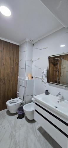 a bathroom with a toilet and a sink and a mirror at Luxury lakeview apartment in Pogradec