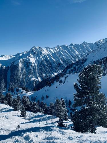 a snow covered mountain range with a tree and a lake at Apart Anton in Hainzenberg