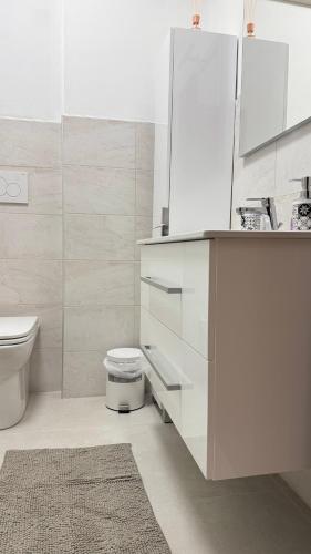 a white bathroom with a toilet and a sink at B&B San Savino in Piacenza