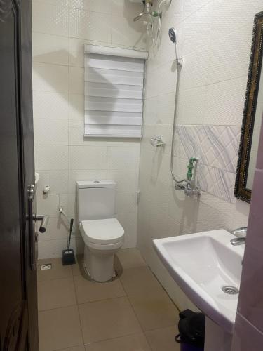 a bathroom with a toilet and a sink at Murphy's Mansion Resort in Umuahia