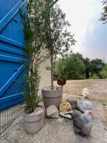Zahrada ubytování Flore at Vive le Vert