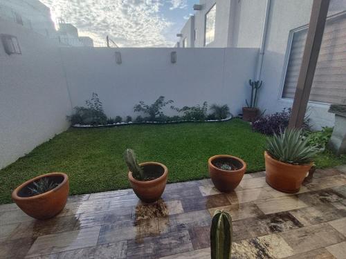 a group of potted plants sitting on a patio at Hermosa Residencia en Oaxtepec in Oaxtepec