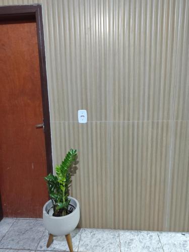 a plant in a pot in front of a door at Casa Na Vila Reno - Local Estratégico in Ponta Porã