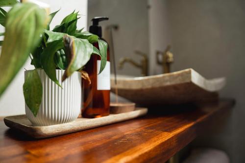 a wooden counter with a plant and a bottle on it at Le Pré de la Mer Suite & SPA Privatif in Querqueville