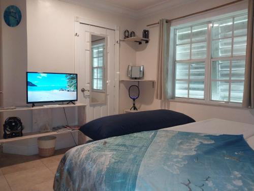 a bedroom with a bed and a flat screen tv at Private Guest House 2 bedrooms & 2 baths near Grace Bay Beach & Long Bay Beach. in Providenciales