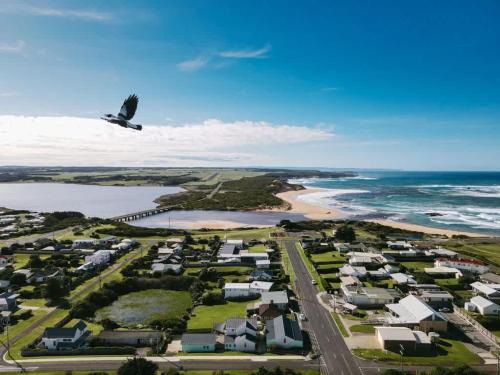 a bird flying over a beach with houses and the ocean at Saltwood Peterborough in Peterborough