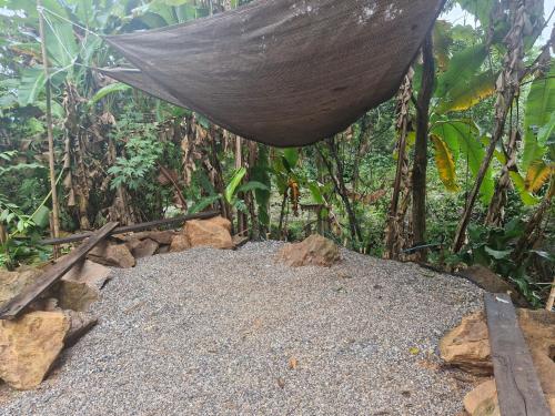a hammock in a forest with rocks and trees at Doichang Riverhouse in Ban Huai Khai