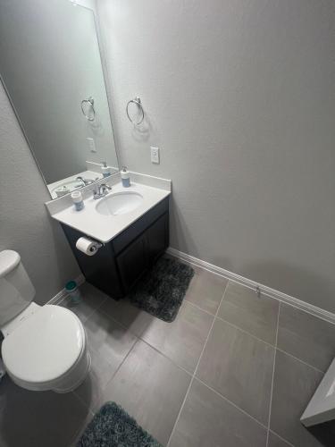 a bathroom with a sink and a toilet and a mirror at Cozy Room with Private bath in Richmond, TX in Richmond