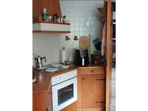 a small kitchen with a stove and a sink at 2 bedroom cabin in Lütgenade