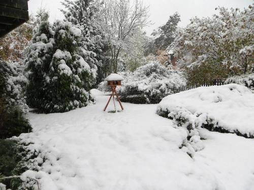 a snow covered garden with a stand in the snow at One-bedroom apartment in Winsen Aller