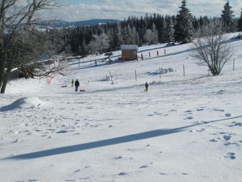 a group of people in the snow on a ski slope at Holiday apartment in St Peter with balcony in Rohr