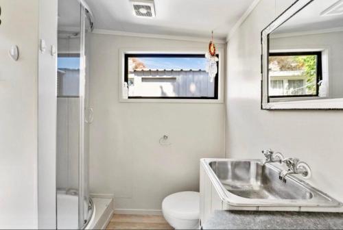 a bathroom with a sink and a toilet and a mirror at The Kingfisher cabin in Tauranga