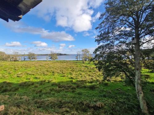 a field with a tree and water in the background at Lakeside Holiday Home with Forest in Vilholt