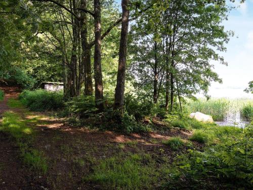 a path through a forest with trees and a body of water at Lakeside Holiday Home with Forest in Vilholt