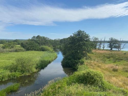 a river in the middle of a field at Lakeside Holiday Home with Forest in Vilholt