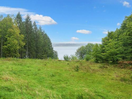 a grassy hill with trees and a body of water at Lakeside Holiday Home with Forest in Vilholt