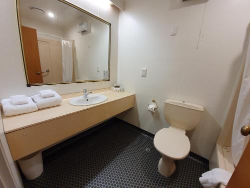 a bathroom with a toilet and a sink with a mirror at Distinction Mackenzie Country Hotel in Twizel