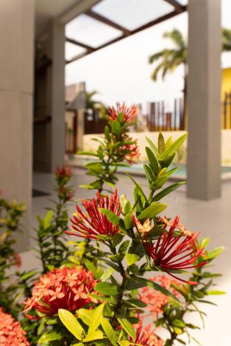 a bunch of red flowers in a building at Pousada Pedra da Pipa in Pipa