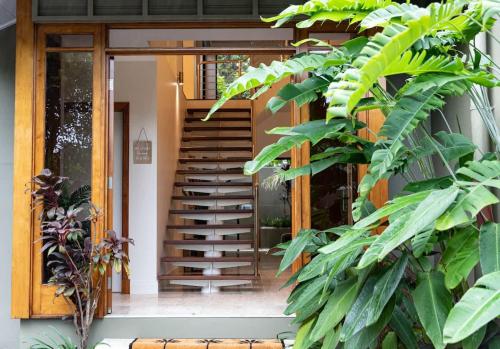 a staircase leading to a house with lush green plants at Villa Amalfi - Port Douglas in Port Douglas