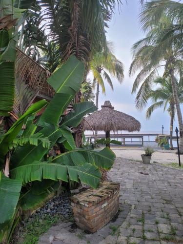 a resort with palm trees and a beach at LakeOkechobeFishingfrm22DaylyfourprsMinPartyPerRoom in Pahokee