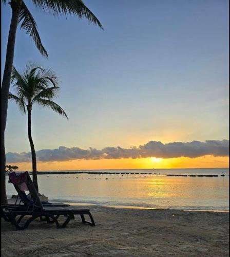 a beach with a chair and palm trees and the ocean at Exclusive Villa with private pool, Jungle and Golf views - 8 Min Walk to the Beach in Puerto Aventuras