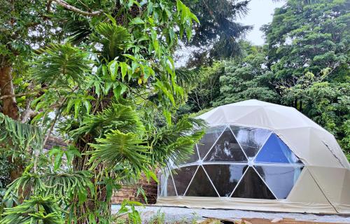 a white greenhouse in a forest with trees at GLAMFOREST Okinawa 名護 in Nago