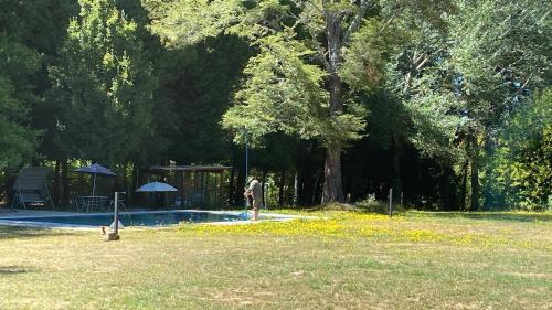 a man standing next to a pool in a park at Gate House Santuario in Valdivia