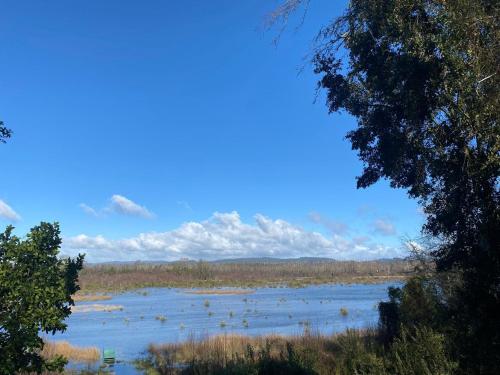 a river with a bunch of animals in the water at Gate House Santuario in Valdivia