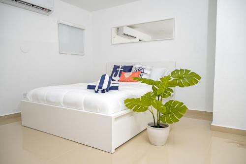 a white bed in a white room with a potted plant at Casa Toñita in Levittown